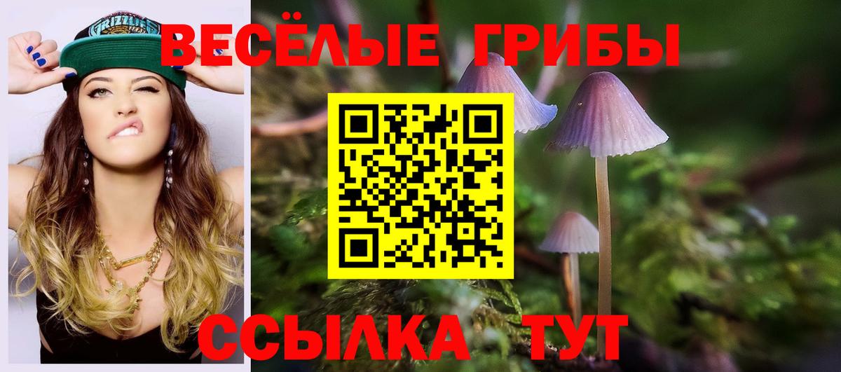Галлюциногенные грибы мухоморы Кудрово
