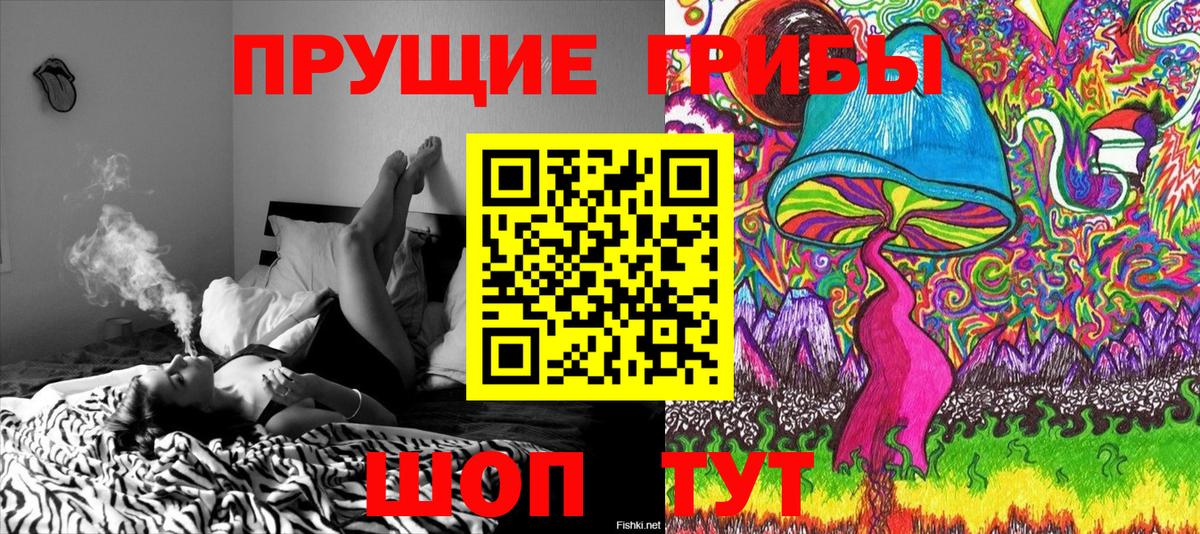 Псилоцибиновые грибы мицелий  Галлюциногенные грибы мицелий  Вход с VPN  Кудрово 